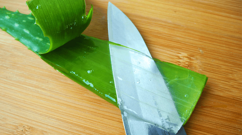10 Most Common Uses of Aloe Vera