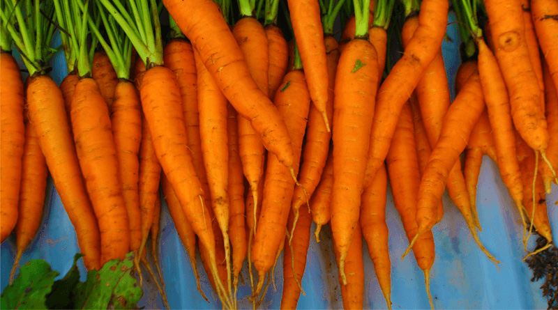 12 Top Benefits of Eating Carrots Daily