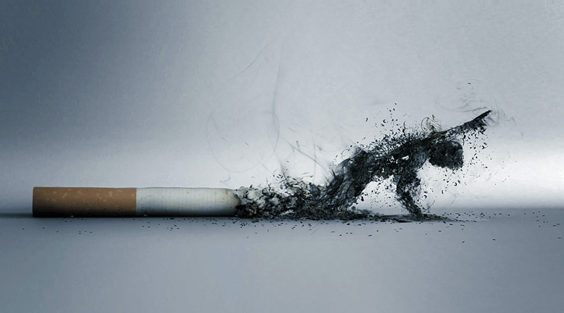 Harms of Smoking for Human Health