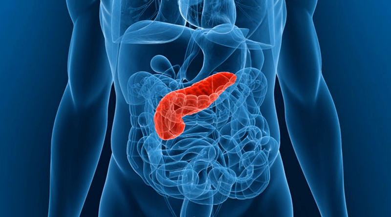 How to Detoxify Pancreas Naturally