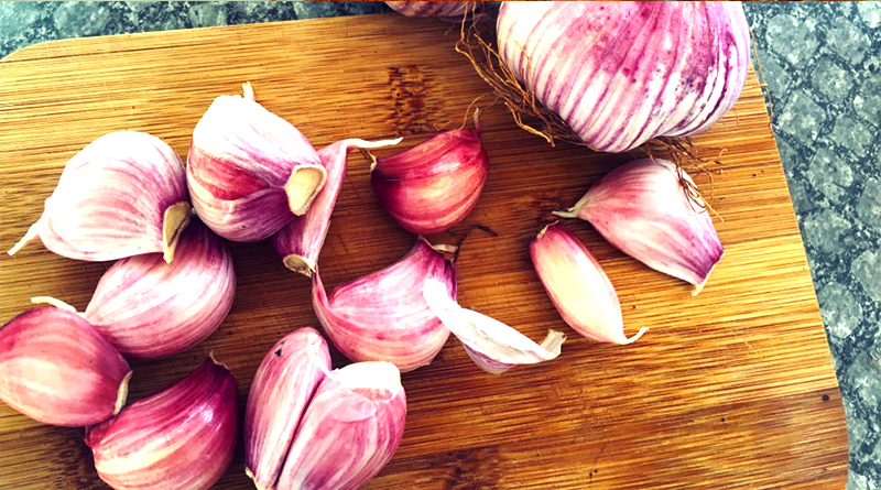 Amazing Benefits of Eating Garlic during Pregnancy