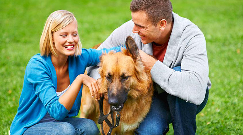 Benefits of having pets for our health